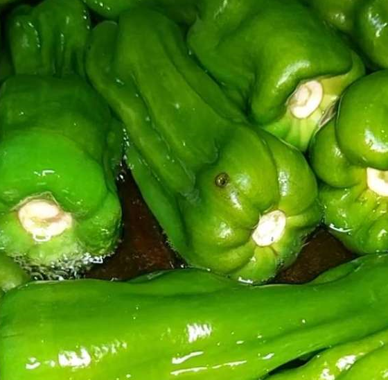 大青椒一泡，大哥大嫂每人吃三碗米饭