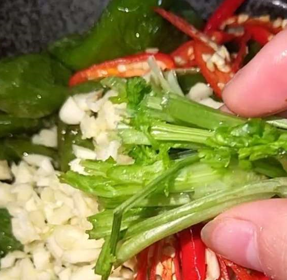 大青椒一泡，大哥大嫂每人吃三碗米饭