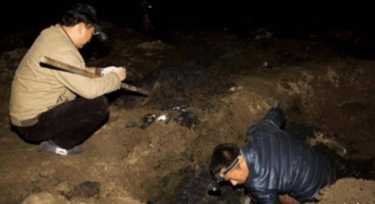 四名“高手”相约盗墓，挖了一米就放弃，惊动警方结果如何？