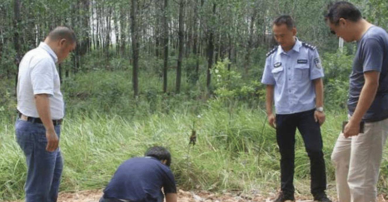四名“高手”相约盗墓，挖了一米就放弃，惊动警方结果如何？
