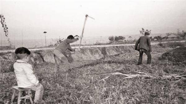 1982年，她挖到67981枚银元，价值上亿却无偿上交，现状如何