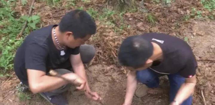 河南一小伙，承包一块青海草场，挖文物卖1800万元，后结果如何？