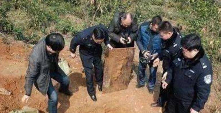 河南一小伙，承包一块青海草场，挖文物卖1800万元，后结果如何？