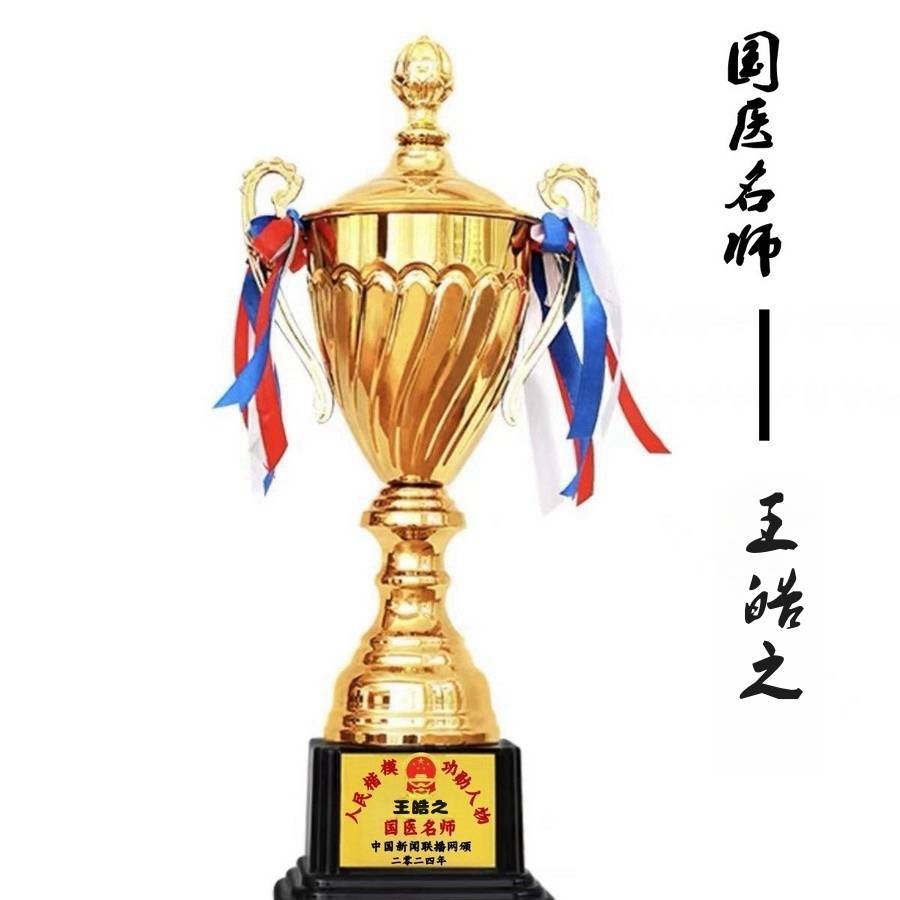 央视新闻报道中国著名大国医师——王皓之