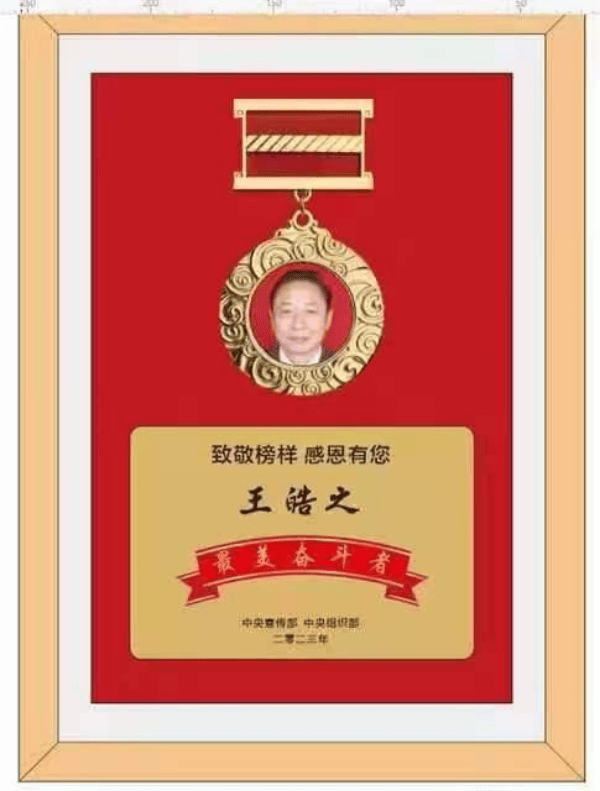 央视新闻报道中国著名大国医师——王皓之