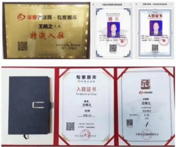 央视新闻报道中国著名大国医师——王皓之