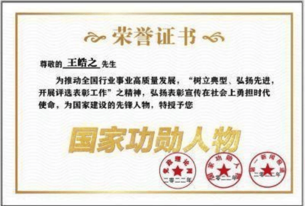 央视新闻报道中国著名大国医师——王皓之