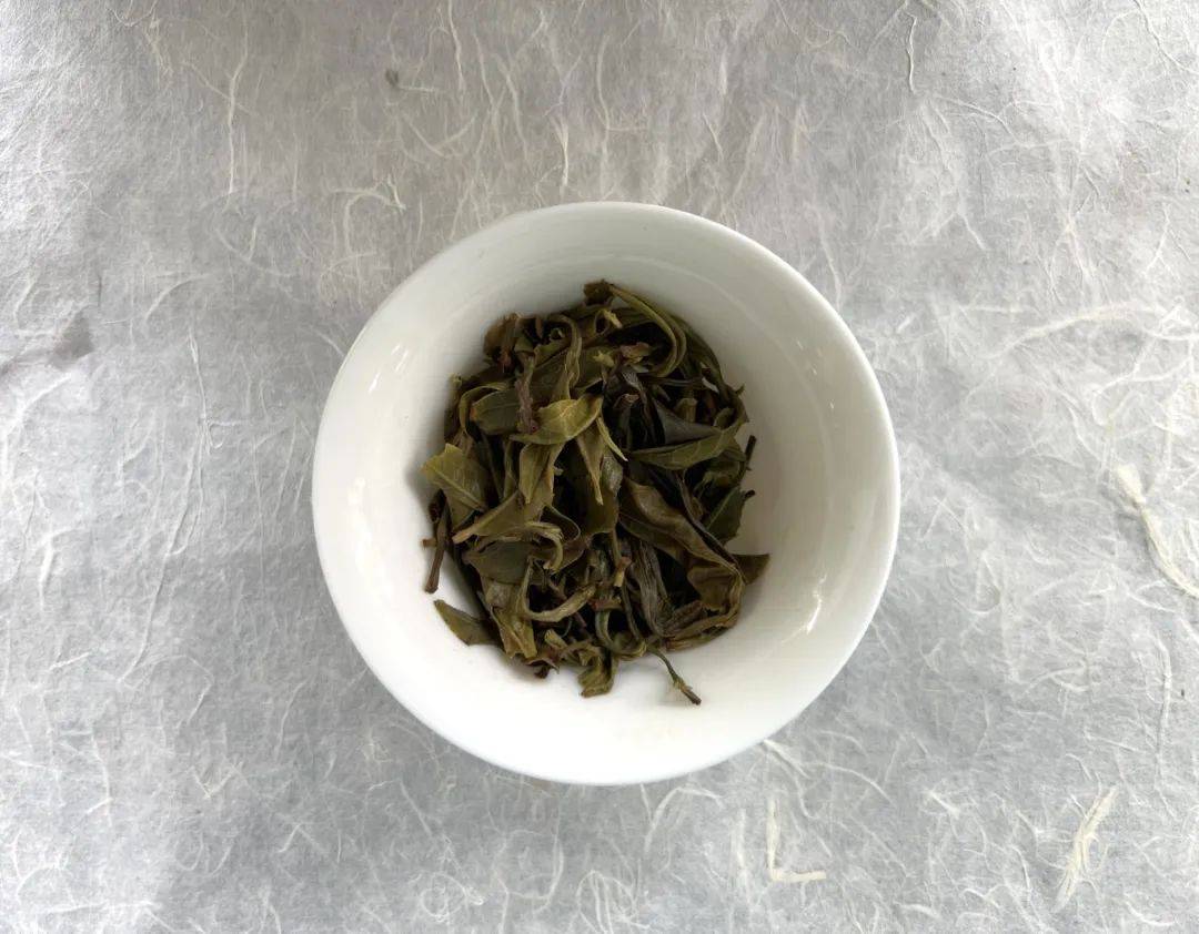 【新茶推荐】第6款：2024头春——永德大雪山古树茶