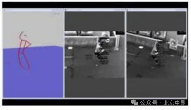 DITECT分析软件主要有哪些？