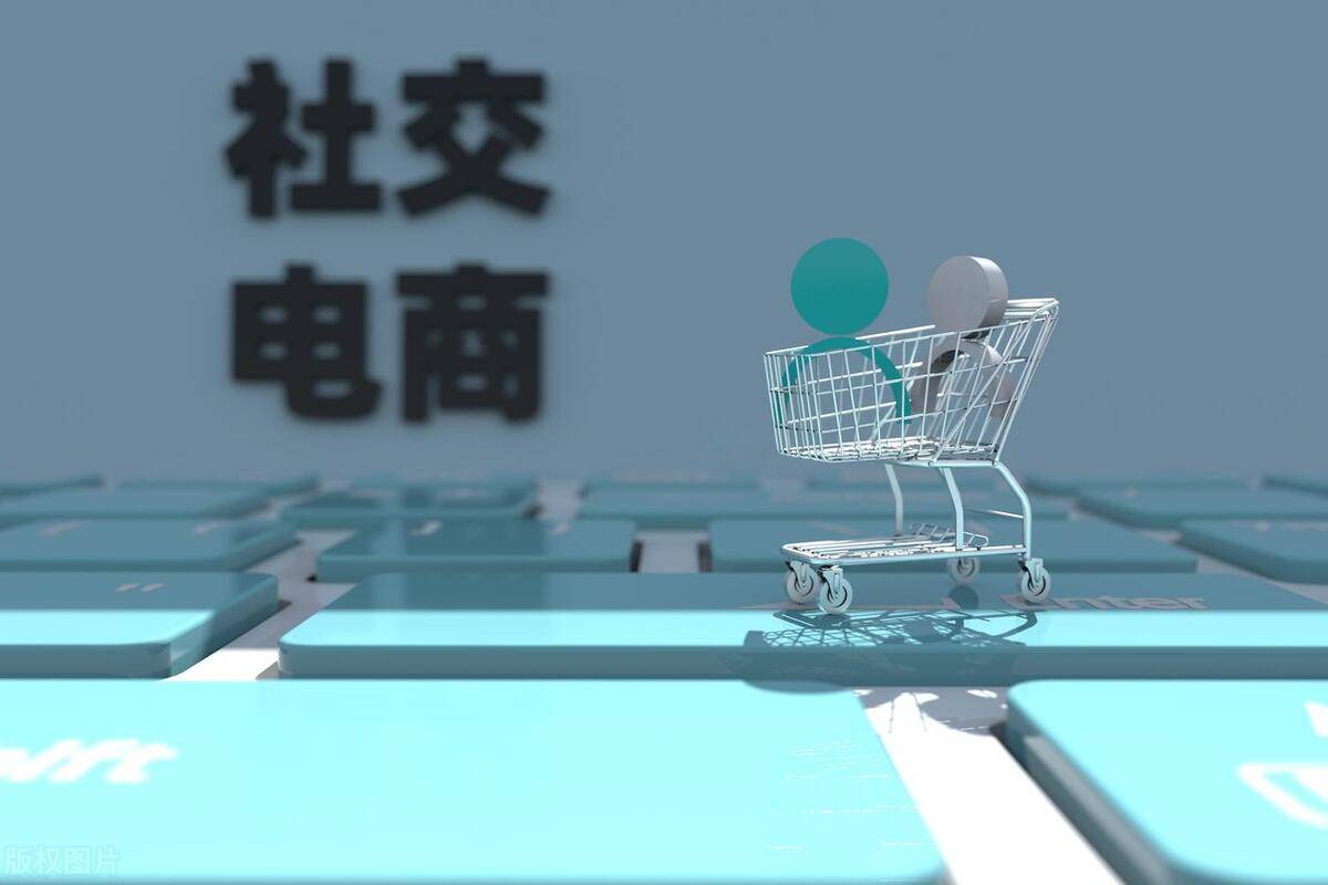 社交电商系统app开发软件分析