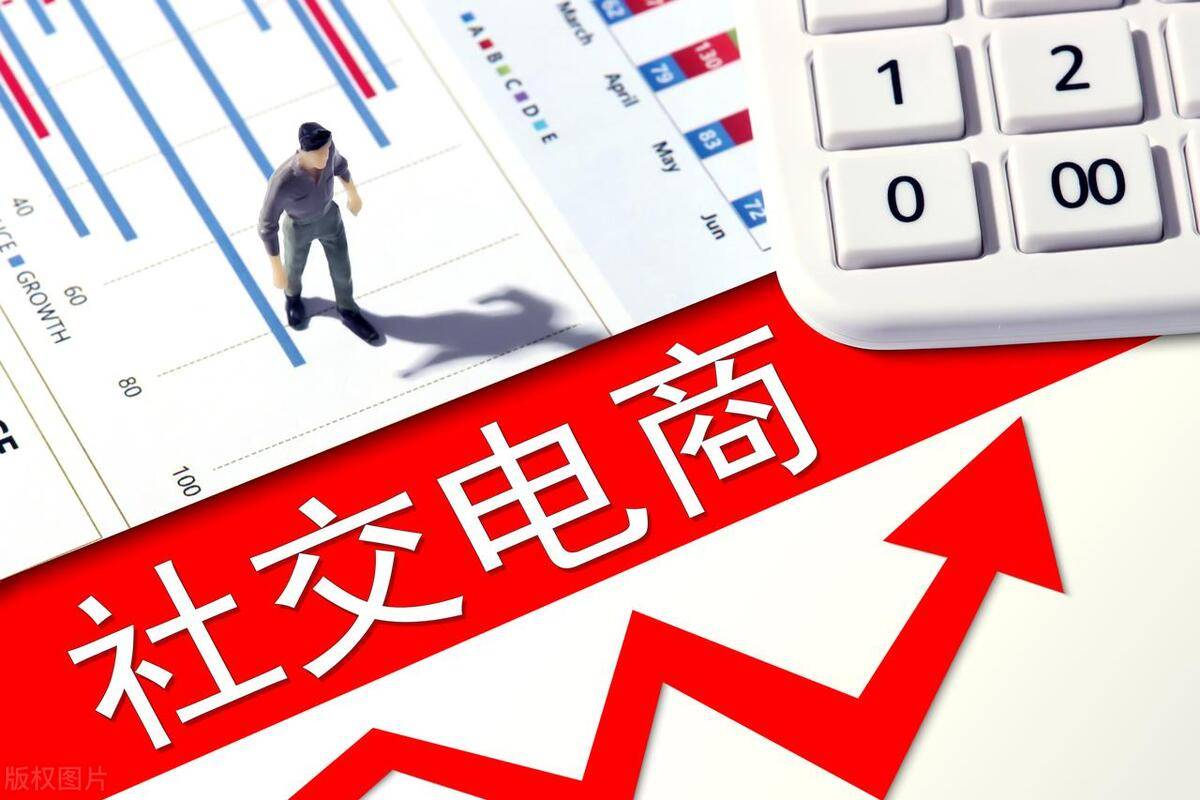 社交电商系统app开发软件分析