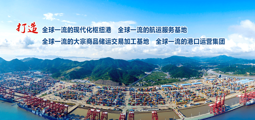浙江省海港投资运营集团未来发展战略